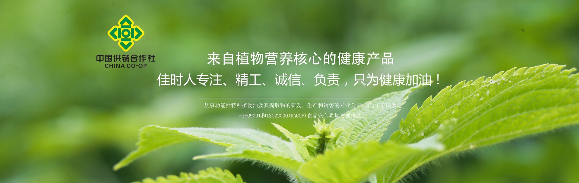 辽宁佳时保健植物油开发有限公司